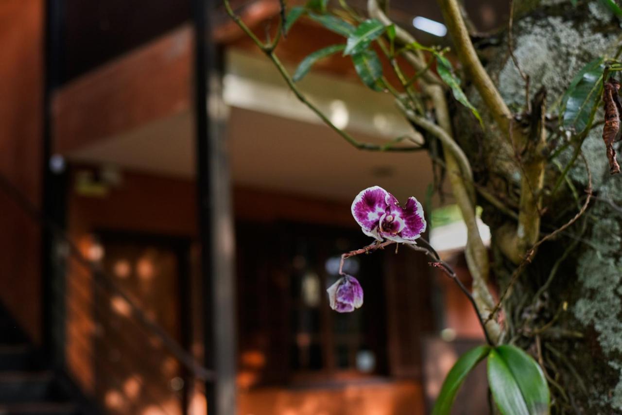 Tiô Isolda Artes&Hospedaria Casa Branca Exterior foto